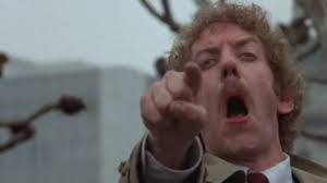 An image from the movie Invasion of the Body Snatchers. It's a close-up of Donald Sutherland pointing and screaming.