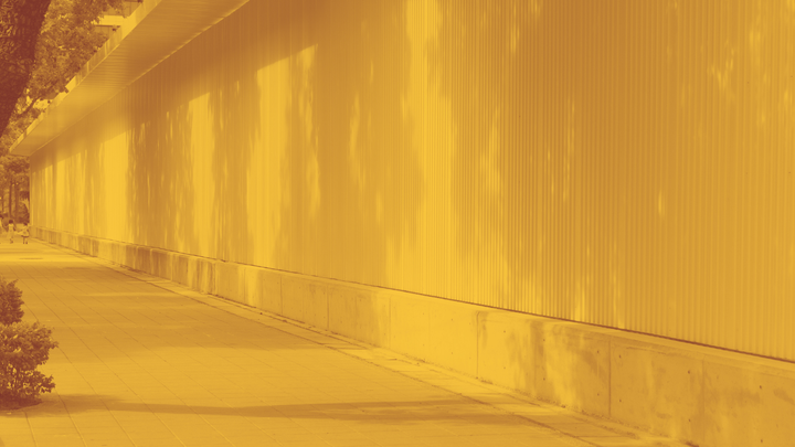 A photo of a sidewalk and a long wall, all dappled with sunshine